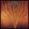 Still life　/　Van der graaf generator