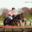 誰かのための競馬予想屋さん