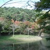 半田山自然公園の紅葉情報2010　（10月29日現在）