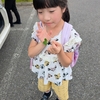 ６．２８（日・小雨）女性天皇、女系天皇、男系男子天皇。
