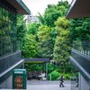 「散策日和＠立川（GREEN SPRINGS）＃０４_🌲とGREENと🌲」_撮影特訓編