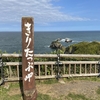 道東旅行で霧多布岬のラッコと厚岸の鹿に会えて感動！もしかしたらほぼ会えるの？　