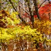 冠山　秋を求めたわけでもないけれど