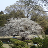 【2025年４月7日（月）から4月13日（日）のメッセージ】