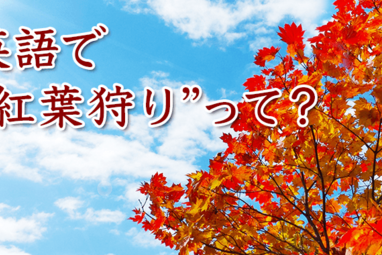 日本の夏を英語で説明しよう 風物詩やおしゃれな英語表現 例文あり ネイティブキャンプ英会話ブログ