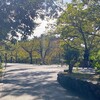 2024年11月8日（金）　終わった  呑んだ  あしたも出勤