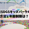 馬場眞子が解説♪伊藤忠SDGsキッズパークの予約方法と年齢制限は？混雑・持ち物までまとめ