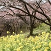 昔の保護者は教師にクレームを入れるのに、学級PTA会長を押し立てて来た。だから行き過ぎがあると必ず袖を引いてもらえた。今は地域でも保護者間でも孤立した保護者が、単独で乗り込んでくるから厄介だ。ことは簡単に済まない。学校も特に若い教師を守る仕組みをつくるべきだ。
