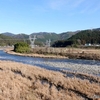 日本　自宅周辺の自然