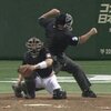 【プロ野球】「日本版チャレンジ」リクエスト制度を解説します！