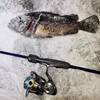 R7/1/3 青森県八戸市某所　ロックフィッシュ　クロソイ狙い