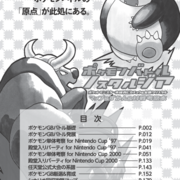 記事一覧 3ページ目 きんのいれば