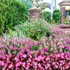 (13) 雨の花園 USJ