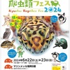 6月22.23九州爬虫類フェス出展致します！
