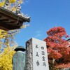 晴れの日曜日☀を楽しむ。(和楽や〜地蔵寺〜丸山古墳)