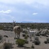 ウユニへの旅行　1日目