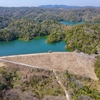 山立石池（山口県宇部）
