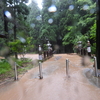 大雨警報　　白瀑神社付近・泊川　　7月15日