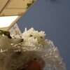 ありがとうおにぎり🍙