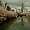 京急・大岡川の桜（リメイク）