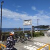 一本牽き