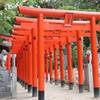 【福岡】猫と歩く住吉神社