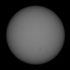 「太陽(白色光)」の撮影　2021年11月11日(機材：ミニボーグ50FL、E-PL5、ポラリエ)