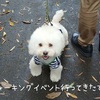 ～犬・人嫌いの愛犬のしつけについて～