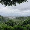 雨上がり龍田山