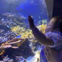 育児経験0のパパによる笑顔の絶えない家庭づくり　〜子育て術&夫婦円満術〜