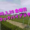 2020,3,20 金曜日 トラックバイアス予想 (中山競馬場、阪神競馬場)