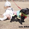 えっほ🎵えっほ🎵🐶solaとBaby怪獣の一眼レフ