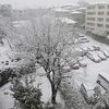 2/29、横浜では大雪