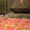 師走の名残り紅葉はまだ続く