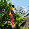 日本でいちばん美しい山城『郡上八幡城』の新緑。
