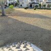 上野町第一公園がきれいになりました(2021/11/14)