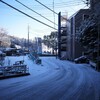 雪が積もったので散歩