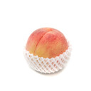 おしりの悩みがいえなくて