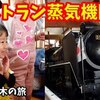 5月14日の動画