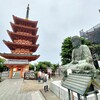 龍正院から円福寺へ　坂東観音巡り（２）
