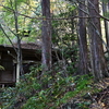 立冬の加持ヶ峰遊山　渓紅葉
