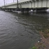 台風進行中だよ