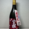 岐阜 小町桜 生々