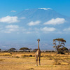 Reasons why you like to visit 3-day Amboseli National Park on your next safari