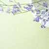 骨粗鬆症の薬を開始