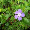 時間の隙間