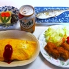 妻が作り置きしてくれていた料理をつまみにボッチ飲食‥