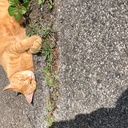 suisuioyoguman’s blog