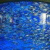 茨城県大洗水族館アクアワールド