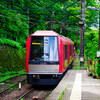 紫陽花と登山電車⑤帰還